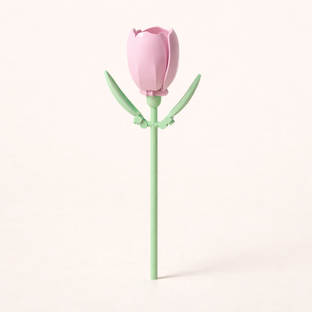 Tulipe