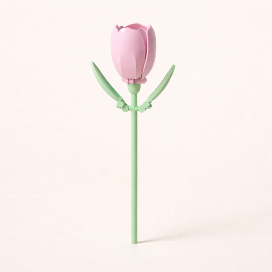 Tulipe