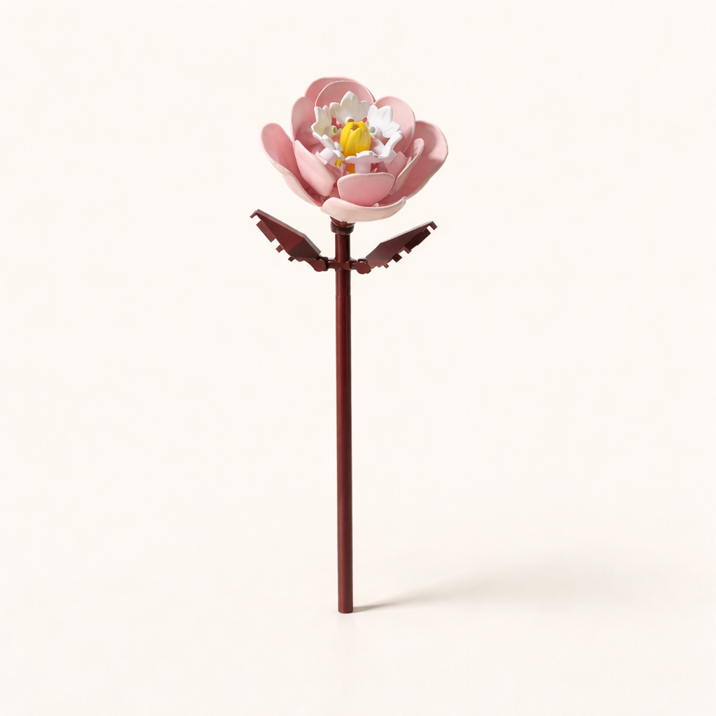 Pivoine