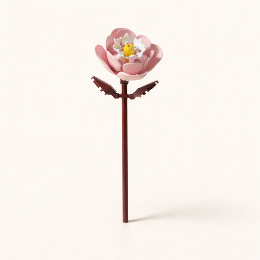Pivoine