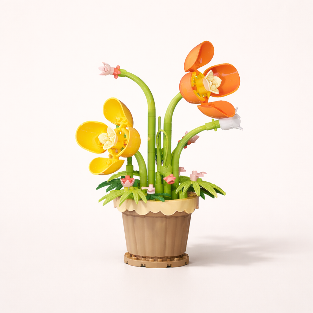 Orchidées en Pot