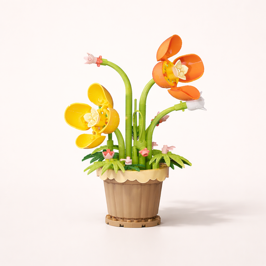 Orchidées en Pot