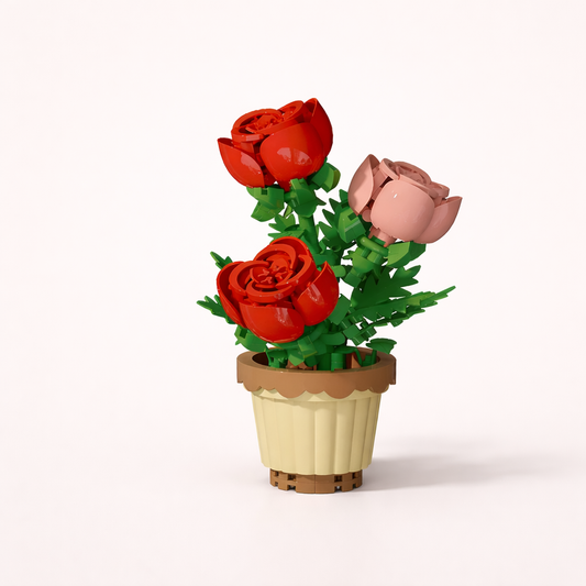 Roses en Pot